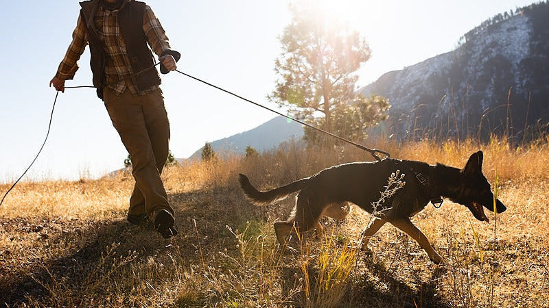 Tracking: Freedom to Hunt Style